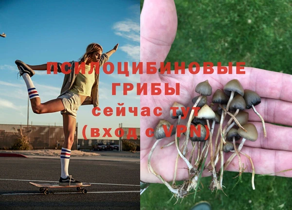 мескалин Алзамай
