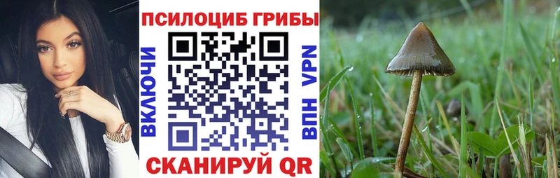 Псилоцибиновые грибы GOLDEN TEACHER  даркнет официальный сайт  Анапа 