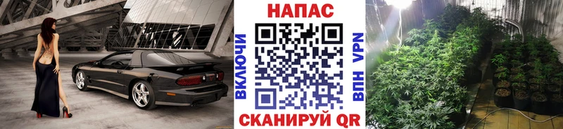 Бошки марихуана OG Kush  где найти наркотики  Анапа 